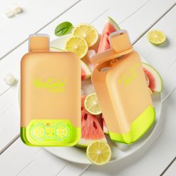 Vapsolo Twins 20000 Puffs Vaporizador Descartável Limão Lima & Melancia Gelo