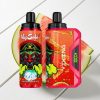 VapSolo VIKING 12000 Puffs Disposable Vape Melancia Gelada com 22ml e Type-C