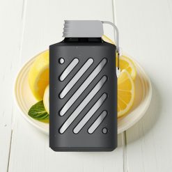 VOZOL GEAR 10000 Disposable Vape Limão Hortelã com 10000 Puffs, 20ml E-líquido, Bobina VAMT Mesh