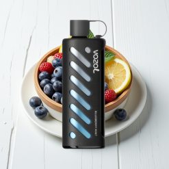 VOZOL Gear Shisha 25000 Puffs Disposable Vape Mirtilo Menta com S.i.L.C Tech e Dual Mesh