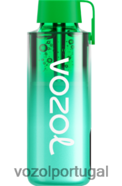 VOZOL Review - VOZOL NEON 10.000 X6LH68229 hortelã de miami