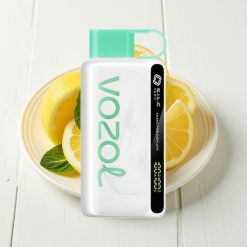 VOZOL STAR 9000/12000 Vape Descartável Limão Hortelã, 650mAh, Recarga Rápida 30%, S.i.L.C TECH