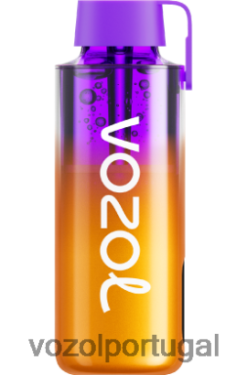 VOZOL Vape Flavors - VOZOL NEON 10.000 X6LH68235 bagas misturadas