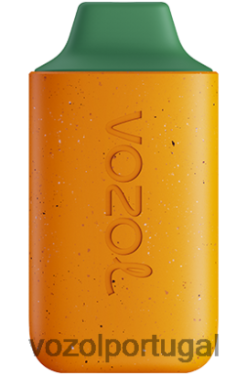 VOZOL Vape Flavors - VOZOL STAR 6.000 X6LH68115 kiwi goiaba maracujá