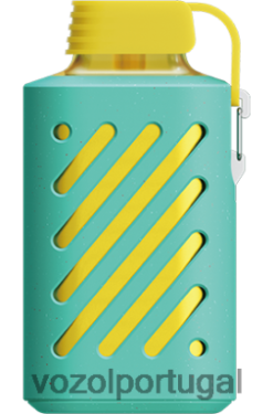 VOZOL Vape Recargable - VOZOL GEAR 10.000 X6LH68306 melancia de framboesa