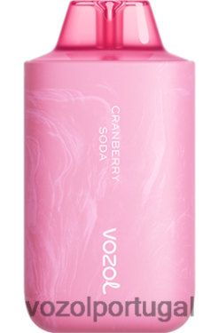 VOZOL Vape Sale - VOZOL STAR 6000/8000 v2 X6LH6858 refrigerante de cranberry