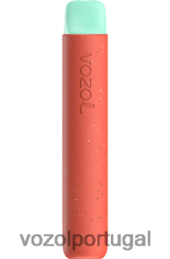 VOZOL Vape Sale - VOZOL STAR 600 X6LH6888 lichia goiaba melancia