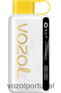 VOZOL Vape Sale - VOZOL STAR 9000/12000 X6LH6838 limonada de cereja e pêssego