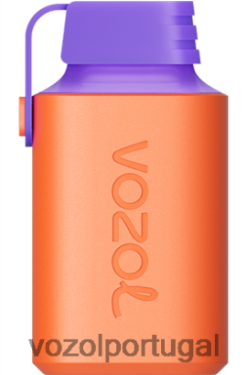 VOZOL Vape Store - VOZOL GEAR 600 X6LH68360 gelo de amora